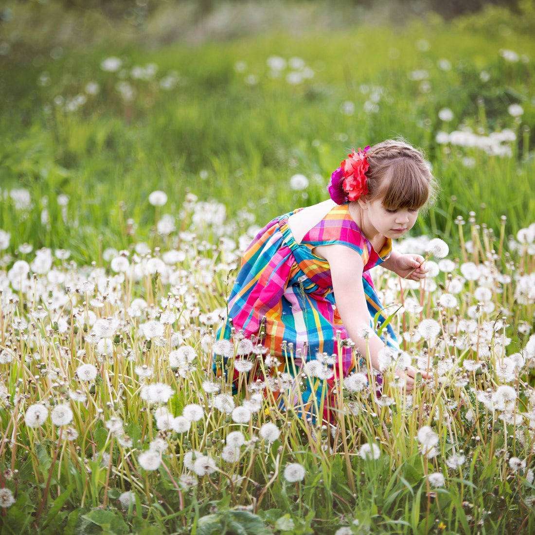 The Promise of Spring