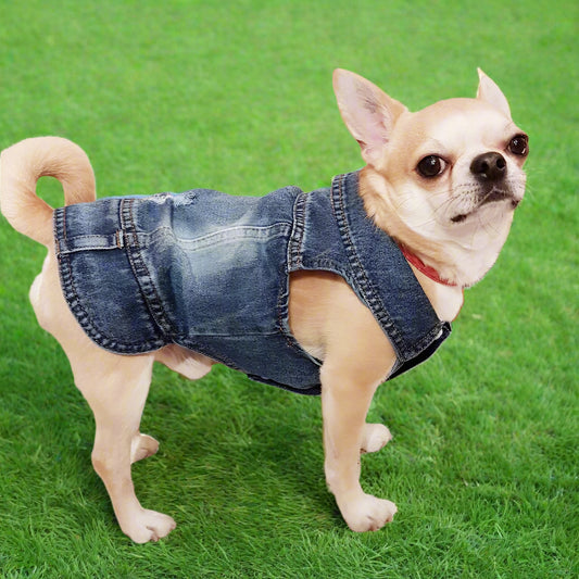 Distressed Denim Doggie Vest