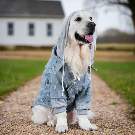 Distressed Denim Hoodie Doggie Jacket, Sweatshirt