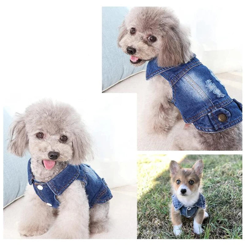 Distressed Denim Doggie Vest