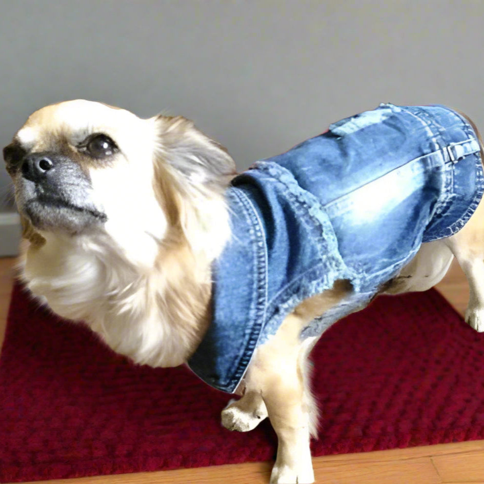 Distressed Denim Doggie Vest